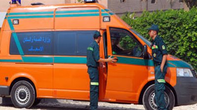 إصابة سيدة إثر سقوط نخلة على 