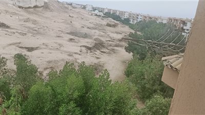 عاجل.. الرياح تضرب مدن البحر الأحمر .. و