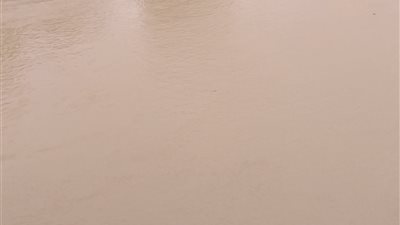 تأثرا بالطقس السيء.. نهر النيل أصفر