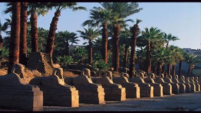 11 أبريل.. الحكم في وقف قرار نقل تماثيل الكباش إلى القاهرة