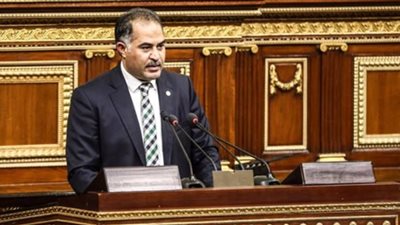 وكيل البرلمان يطالب الحكومة برفع كفاءة محطات الصرف