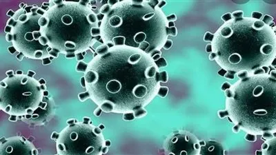 لماذا خلق الله الفيروسات؟.. الكنيسة تجيب