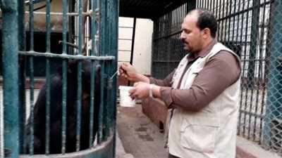غلق حديقة الحيوان بالجيزة لمدة 15 يوما