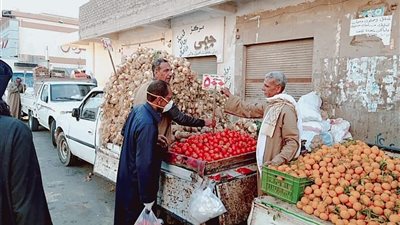 مبادرة لبيع الخضراوات والفاكهة بأسعار مخفضة لمواطني الغردقة