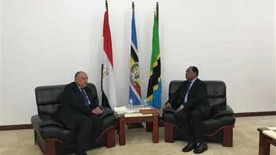 وزير الخارجية يسلم نظيره التنزاني رسالة السيسي