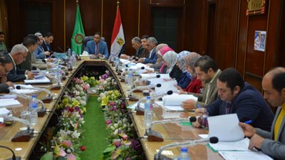 قرارات لمحافظ الدقهلية تهم المرأة كإجراء احترازي لمواجهة كورونا 