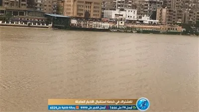 وكيل ري الدقهلية يكشف إلى الفجر سبب تغير لون النيل (فيديو وصور)