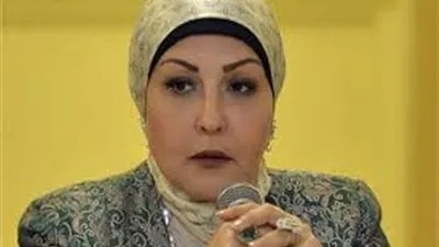 برلمانية بكفرالشيخ: نبذل قصارى جهدنا لتطوير مدينة 