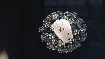 هل يصيب فيروس كورونا الرجال بعجز جنسي كامل؟ الخبراء يجيبون