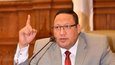 برلماني: الإجراءات الوقائية ضد كورونا تؤكد وعي القيادة السياسية