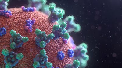 الحياة لن تعود لطبيعتها مرة أخرى.. متى ينتهي فيروس كورونا؟