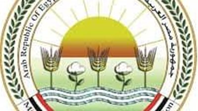 خوفًا من كورونا.. 