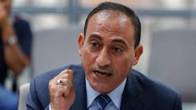 برلماني: مبادرة السيسي بشأن مواجهة كورونا طوق النجاة لمصر 