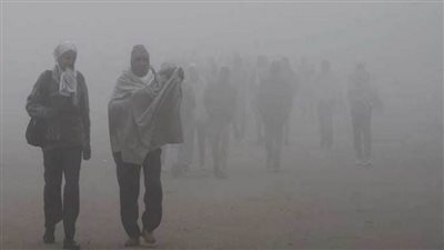 أستاذ مناعة يكشف طريقة تعامل مرضى الحساسية مع العاصفة التربية المقبلة