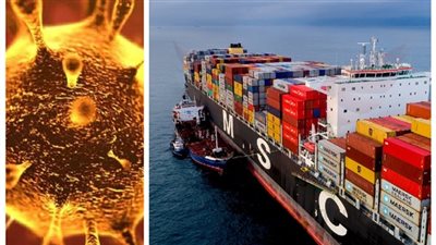 رئيس قناة السويس: هذا ما حدث مع السفينة الحاملة لمصابون بـ