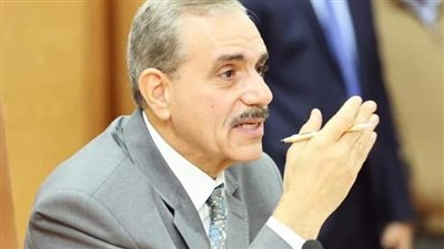 ضبط 6 أطنان تقاوي أرز قبل بيعها في السوق السوداء بكفر الشيخ