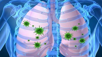 بعد قتله صيني.. كل ما تريد معرفته عن فيروس هانتا ومدى تشابهه مع كورونا