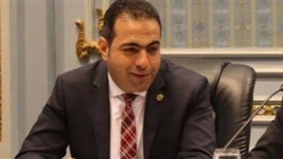 برلماني يطالب بمعاقبة المتاجرين بالأزمات عبر السوشيال ميديا