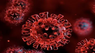 ماذا تعني كلمة Covid-19 التي ترتبط بفيروس 