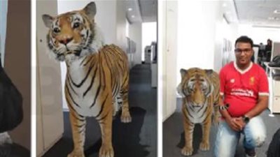 Safari | جوجل يكشف عن خاصية 