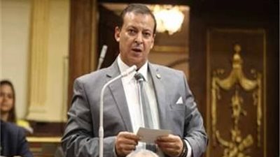 برلماني: تجار مصر يستحقون التحية لدعمهم المواطنين في مواجهة كورونا