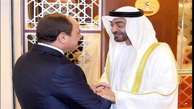 السيسي وبن زايد يبحثان تبادل الخبرات بين الأجهزة الطبية لمكافحة كورونا