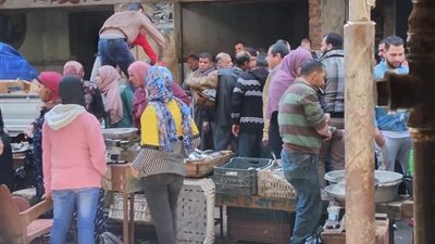 زحام شديد.. سوق السمك بمركز دسوق في كفرالشيخ يتحدى كورونا