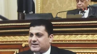 برلماني: الأطباء درع الوطن الواقي من المخاطر