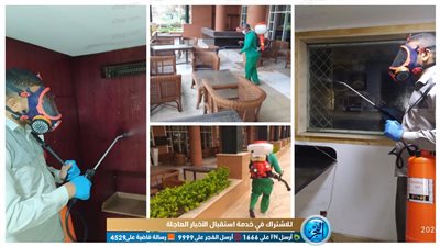 الانتهاء من تعقيم فنادق الأقصر وأسوان 