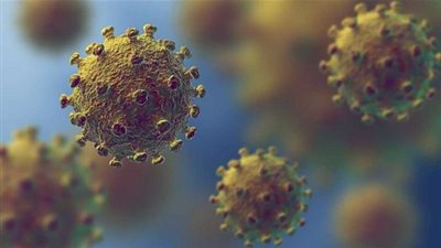 كيف أصبح كورونا المستجد 