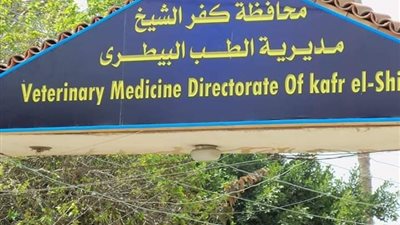 خلال أسبوع.. تحصين 7500 طائر ضد الأمراض بكفرالشيخ