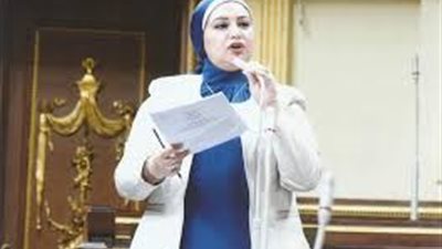 نائبة: لا نستطيع تطبيق الحظر الكامل إلا في هذه الحالة