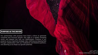وزارة التعاون الدولى تعرض استراتيجية جديدة للشراكة مع مؤسسات التمويل 