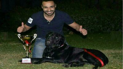 احمد فهمي ينعى كلبه الراحل: 