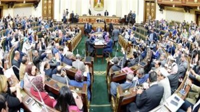 آخرهم محافظ جنوب سيناء ومجلس النواب.. هؤلاء أهم المتبرعين لـ