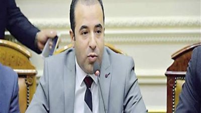 برلماني: رسائل السيسي أكدت قدرة الدولة على إدارة الأزمة 