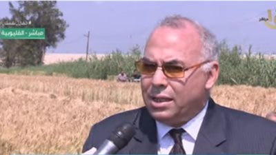 زراعة القليويبة: تسليم المزارع قيمة القمح بعد التوريد بيومين (فيديو)