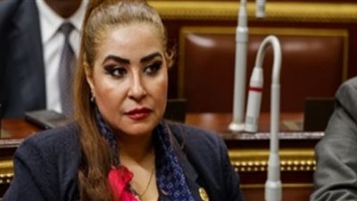 برلمانية تناشد المصريين في الخارج بدعم العمالة غير المنتظمة 