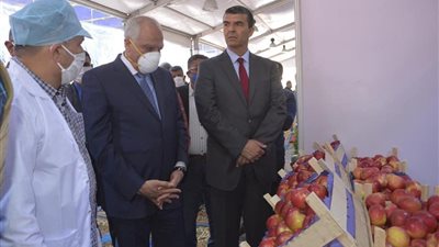 محافظ الجيزة: لدينا 300 منفذ سلع غذائية 