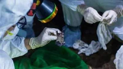 روسيا تبدأ المرحلة الأولى من التجارب السريرية للقاح من كورونا