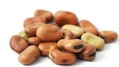 تراجع قوي في أسعار الفول البلدي بعد قرار وزير الصناعة