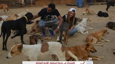 احمد فهمي يمازح كلابه عبر 'إستجرام'