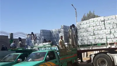 توزيع 15 ألف كرتونة مواد غذائية للعمالة غير المنتظمة والفقراء بقنا