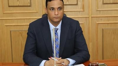 محافظ الدقهلية يرفض وصف مرتكبي واقعة 