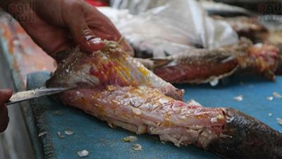 بمناسبة شم النسيم.. ننشر أسعار الفسيخ والرنجة في الأسواق والمحلات التجارية