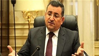 أسامة هيكل: 