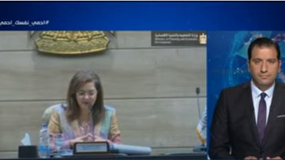 مساعد وزيرة التخطيط: تنوع الاقتصاد يقلل من تأثير الأزمات (فيديو)