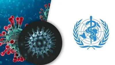 بشرى سارة من 