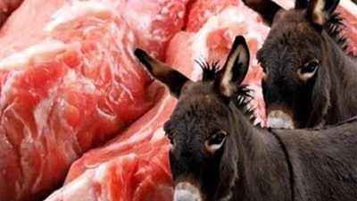 بعد ضبط محال جزارة تبيع لحوم حمير.. رئيس حي المعصرة: تحرير 3 محاضر رسمية (فيديو)