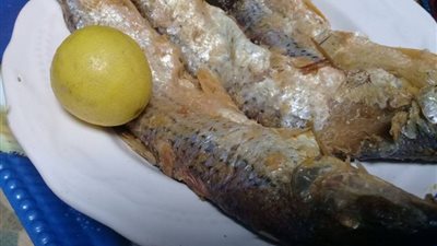 هنشم كورونا.. تحذير مهم من أكل الملوحة (فيديو)